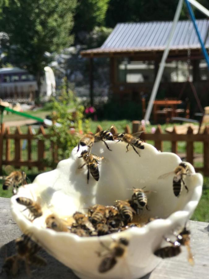 Hotel Bujtina Izet Selimaj Valbone Zewnętrze zdjęcie